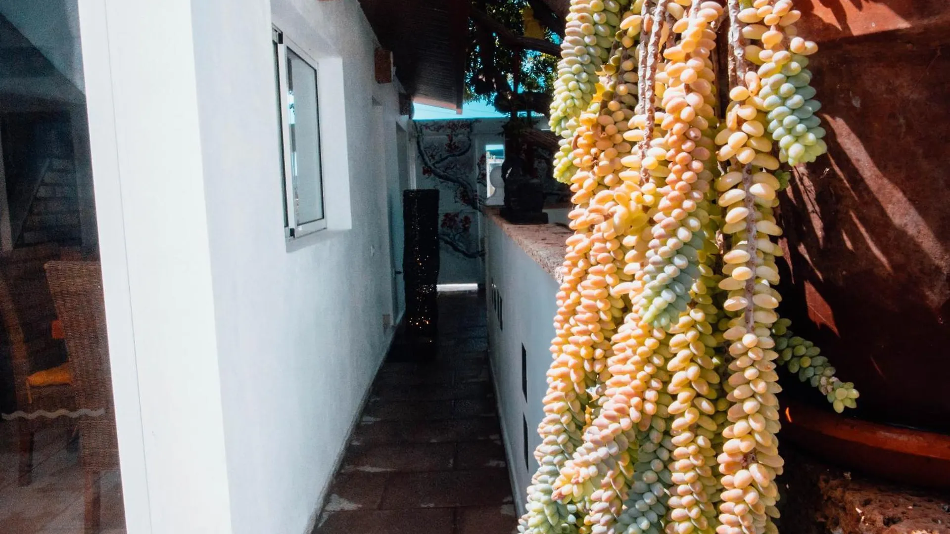 The Essence Of Jakarta Villa Arona  Ισπανία
