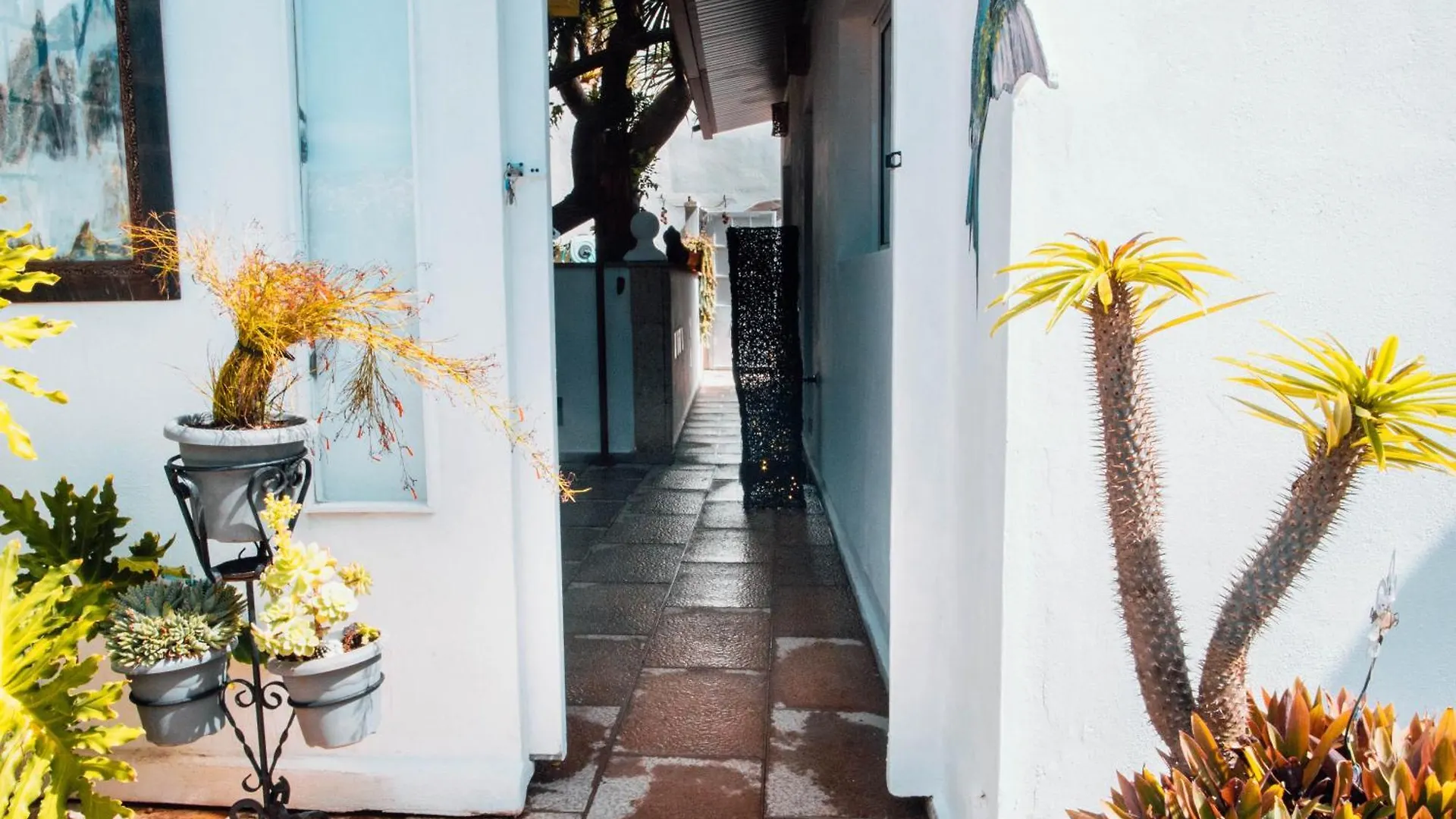 The Essence Of Jakarta Villa Arona  Arona (Tenerife)